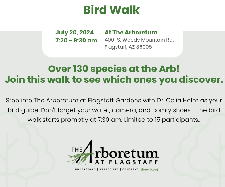 Bird Walk July 20